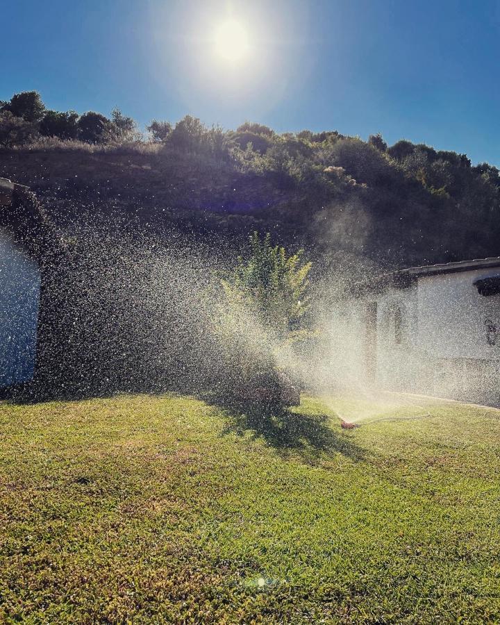 Trasicca B&B Brunella エクステリア 写真