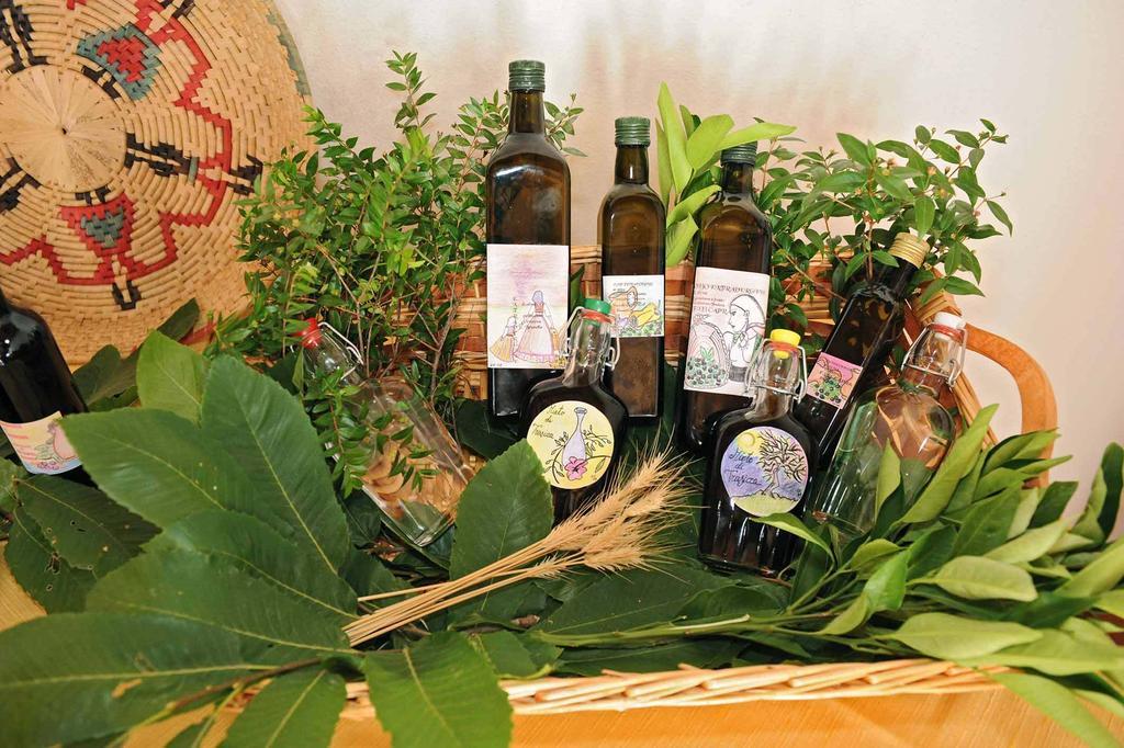 Trasicca B&B Brunella エクステリア 写真